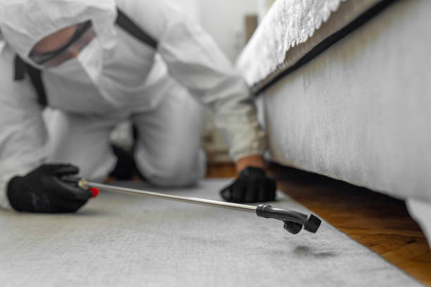 Professional Termite Control technician working in Cleveland County County, AR